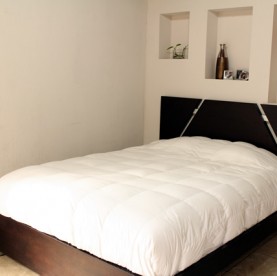Cama-2