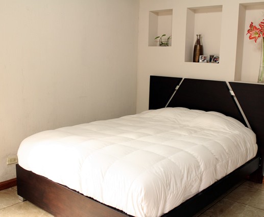 Cama-2